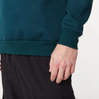 Buzo Frisa Cuello Redondo Verde Pampero